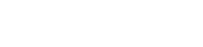 LV Premier Holiday Rentals